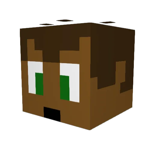 The_Guy_Eli Minecraft avatar head, 3D render