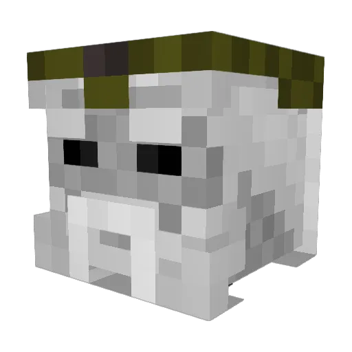 The_Hell_Hunter Minecraft avatar head, 3D render