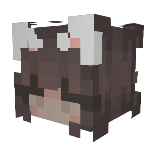 The_Irish_Cat Minecraft avatar head, 3D render