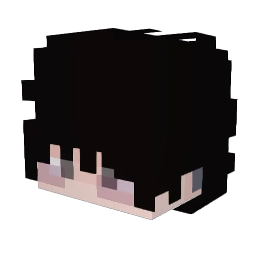The_Jeet Minecraft avatar head, 3D render