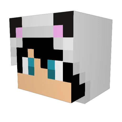 The_Jupiter Minecraft avatar head, 3D render
