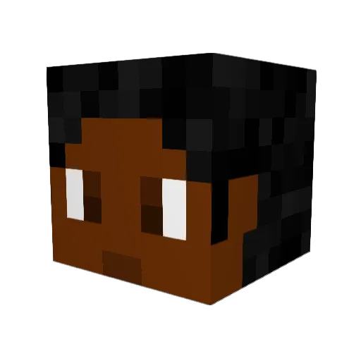 The_Koala98 Minecraft avatar head, 3D render