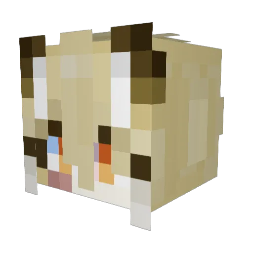 The_Last_Days Minecraft avatar head, 3D render