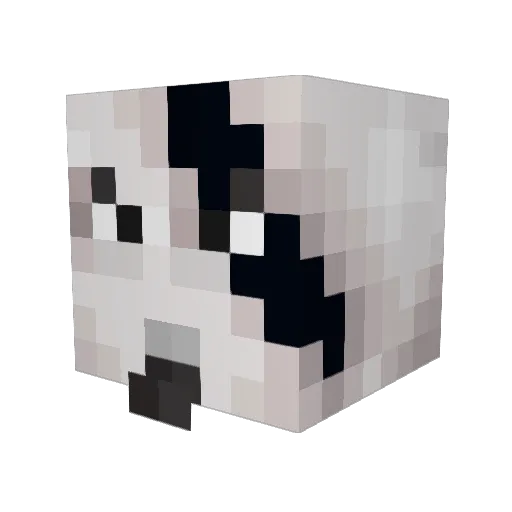 The_Master_Boy Minecraft avatar head, 3D render