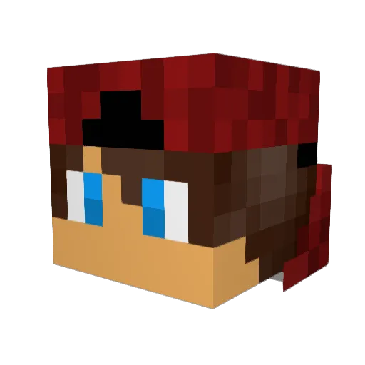 The_New_Kid1 Minecraft avatar head, 3D render