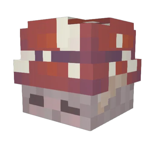 The_NickBo Minecraft avatar head, 3D render