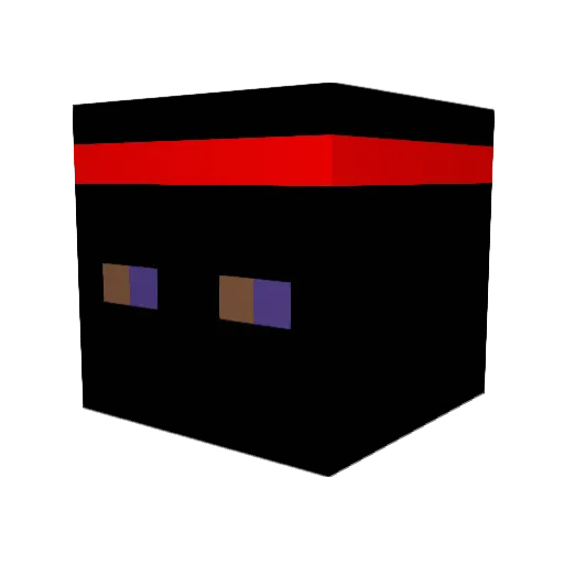 The_NinjaWarrior Minecraft avatar head, 3D render
