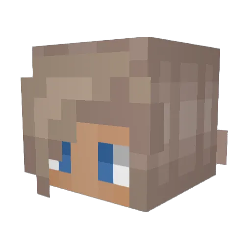 The_Nocturnal__ Minecraft avatar head, 3D render