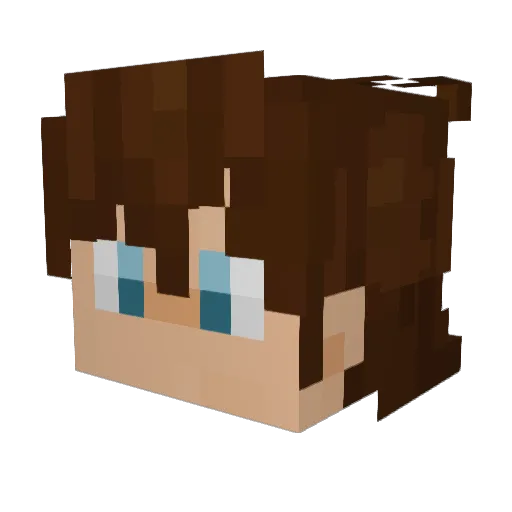 The_Noodle_cdn Minecraft avatar head, 3D render