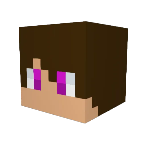 The_Nova343 Minecraft avatar head, 3D render