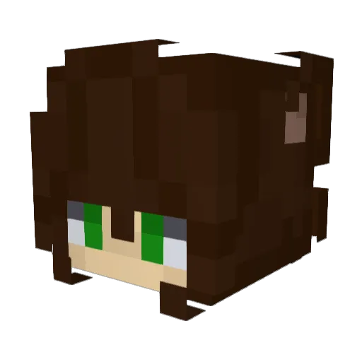 The_Novastar Minecraft avatar head, 3D render