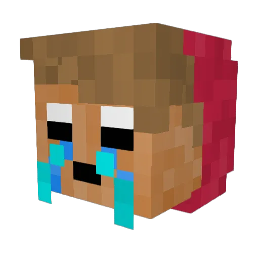 The_Nowakowskyy Minecraft avatar head, 3D render