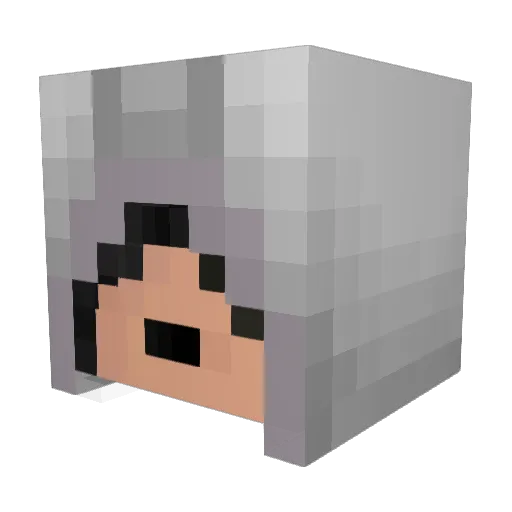 The_Obese_Obama Minecraft avatar head, 3D render