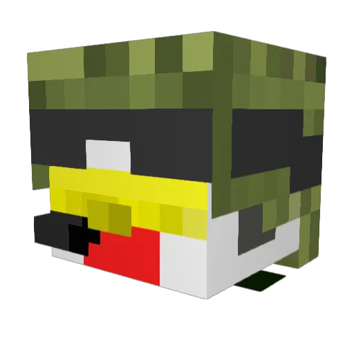 The_One_Chicken Minecraft avatar head, 3D render
