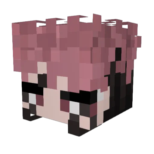 The_P_a_n_d_a Minecraft avatar head, 3D render