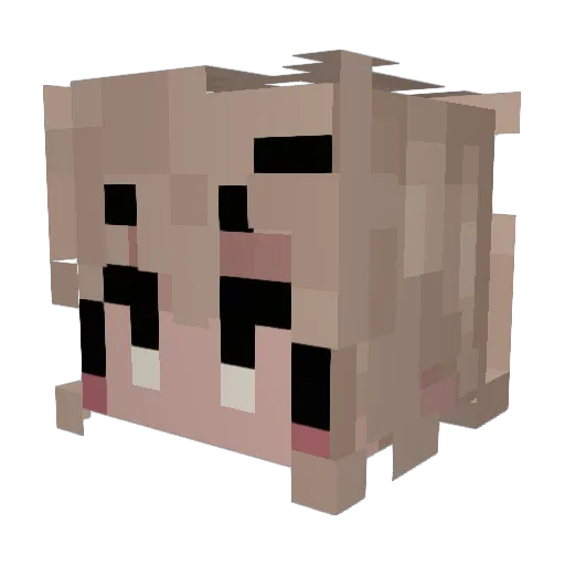 The_Pastriarchy Minecraft avatar head, 3D render