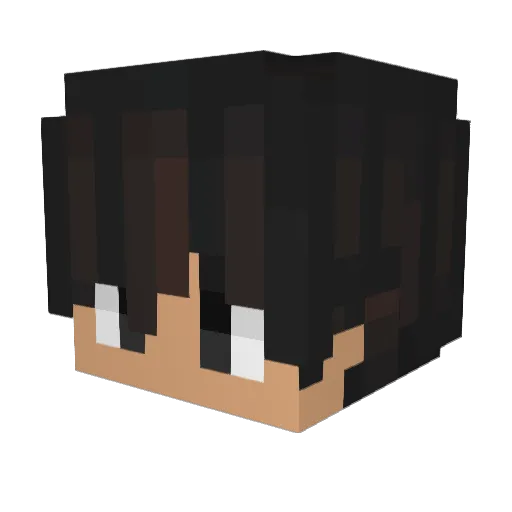 The_Poor_Guy Minecraft avatar head, 3D render