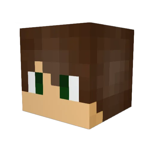 The_Pro_96 Minecraft avatar head, 3D render