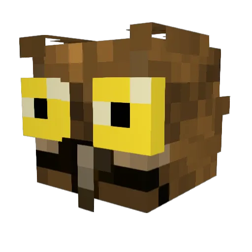 The_Proclaimer Minecraft avatar head, 3D render