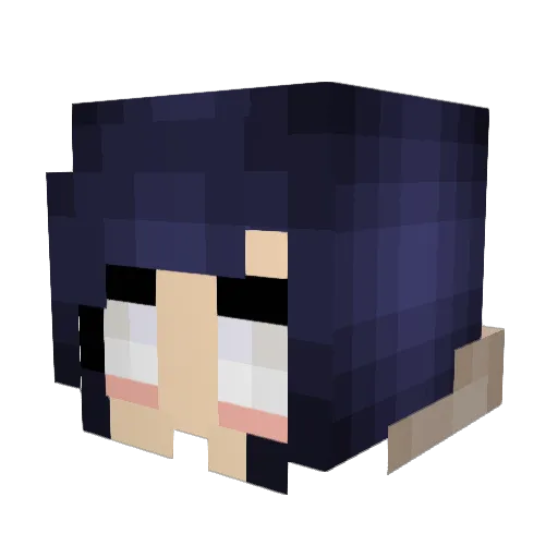 The_Pube Minecraft avatar head, 3D render