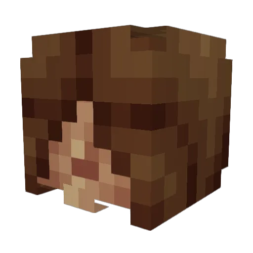 The_Pwner Minecraft avatar head, 3D render