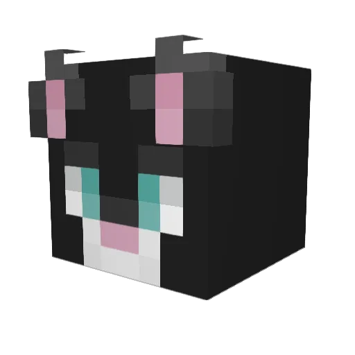 The_Pyro_Kitty Minecraft avatar head, 3D render