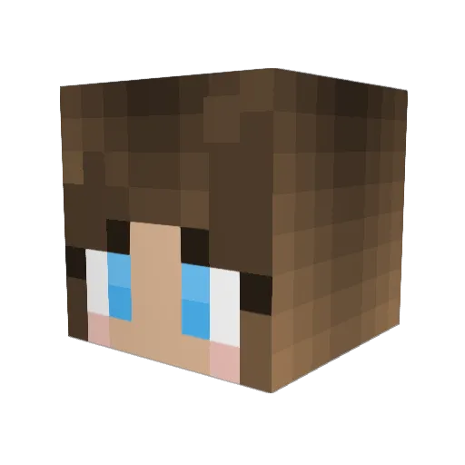 The_Queen_Bee Minecraft avatar head, 3D render