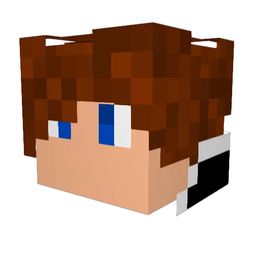 The_Quilled Minecraft avatar head, 3D render