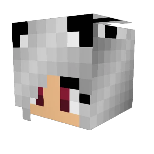 The_Racker Minecraft avatar head, 3D render