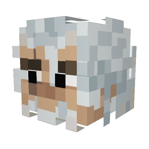The_Rayli Minecraft avatar head, 3D render