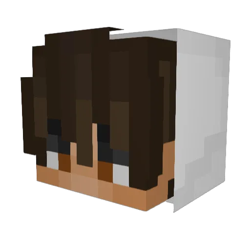 The_Real_N00b Minecraft avatar head, 3D render