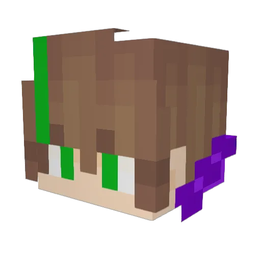 The_Reaper_4867 Minecraft avatar head, 3D render