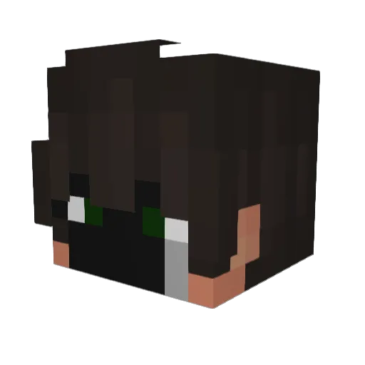 The_Reisio Minecraft avatar head, 3D render