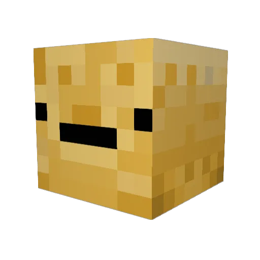 The_SaltyPotato Minecraft avatar head, 3D render