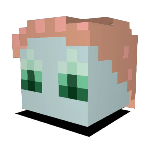 The_Schim Minecraft avatar head, 3D render