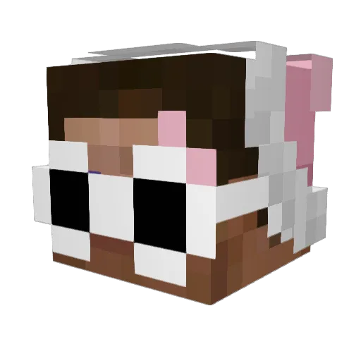The_Sezam Minecraft avatar head, 3D render