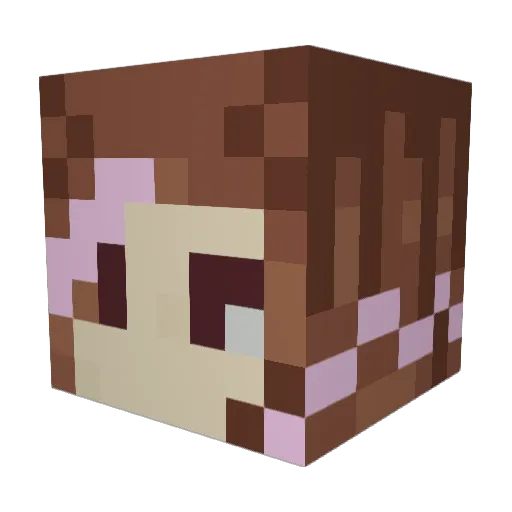 The_Silky_Way Minecraft avatar head, 3D render
