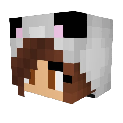 The_SilverFox Minecraft avatar head, 3D render