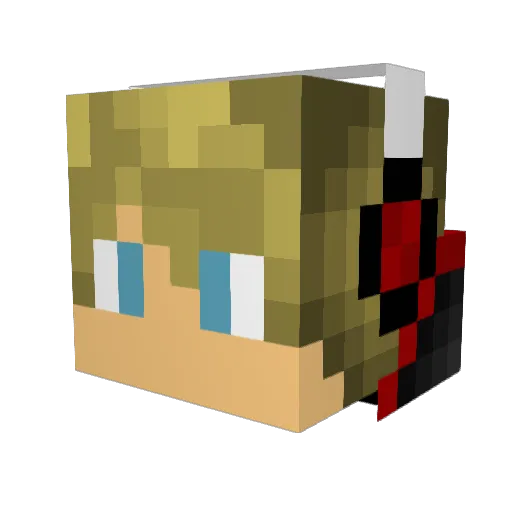 The_Snow_Gamer Minecraft avatar head, 3D render