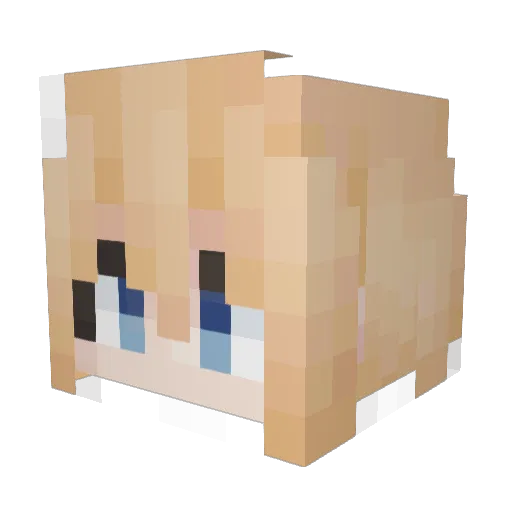 The_Standwich Minecraft avatar head, 3D render