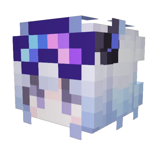 The_StarNight Minecraft avatar head, 3D render