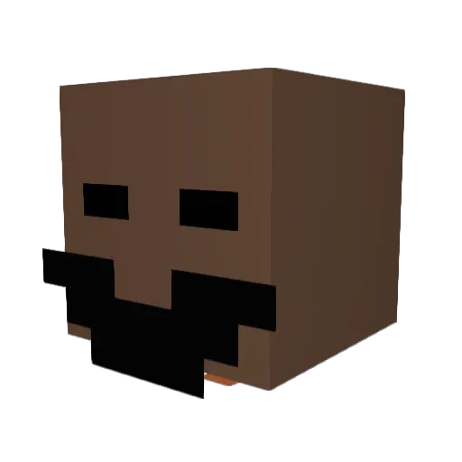 The_Texman Minecraft avatar head, 3D render