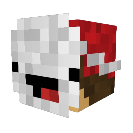 The_Tracer Minecraft avatar head, 3D render