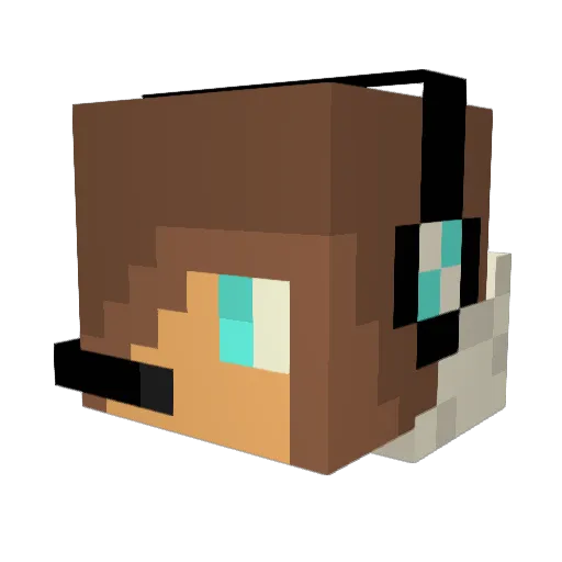 The_Type Minecraft avatar head, 3D render