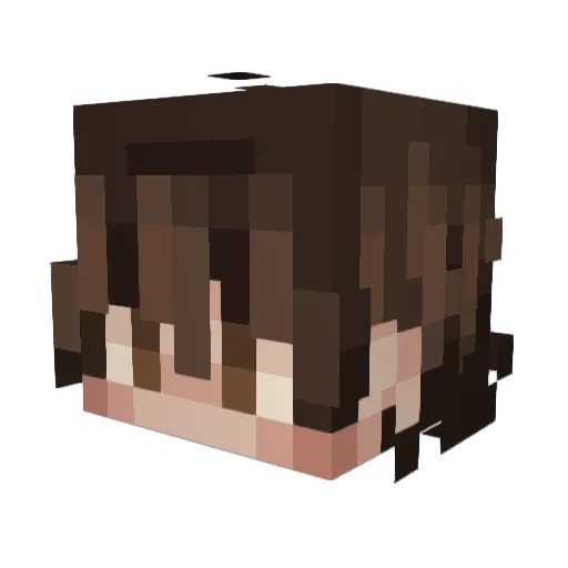 The_Vake Minecraft avatar head, 3D render