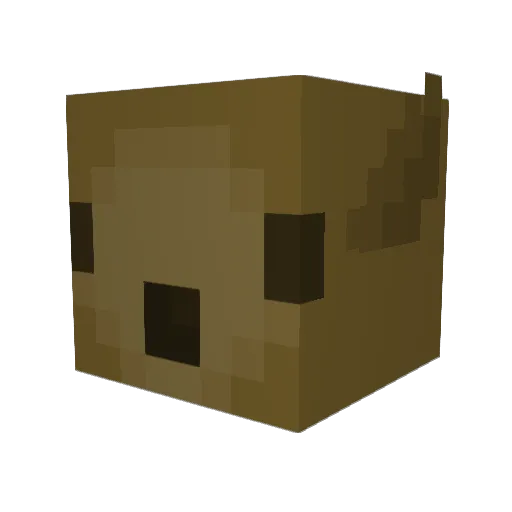 The_Wallaby Minecraft avatar head, 3D render