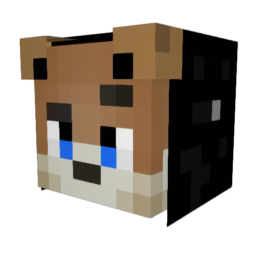 The_Wild_Thief Minecraft avatar head, 3D render
