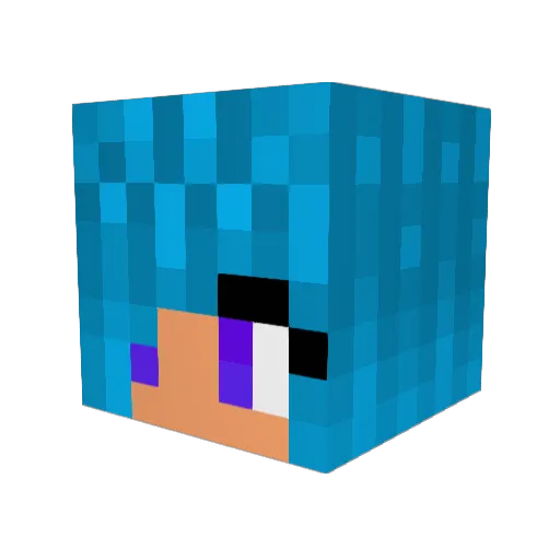 The_Willi Minecraft avatar head, 3D render