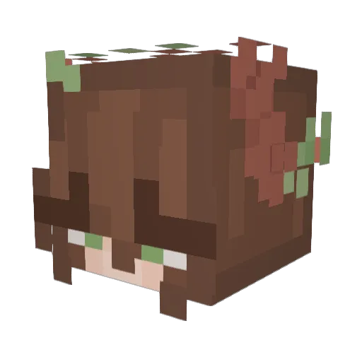The_Wither_146 Minecraft avatar head, 3D render