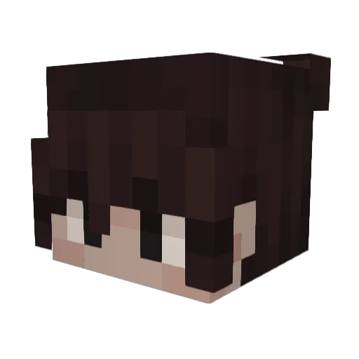 The_WolfPack1234 Minecraft avatar head, 3D render